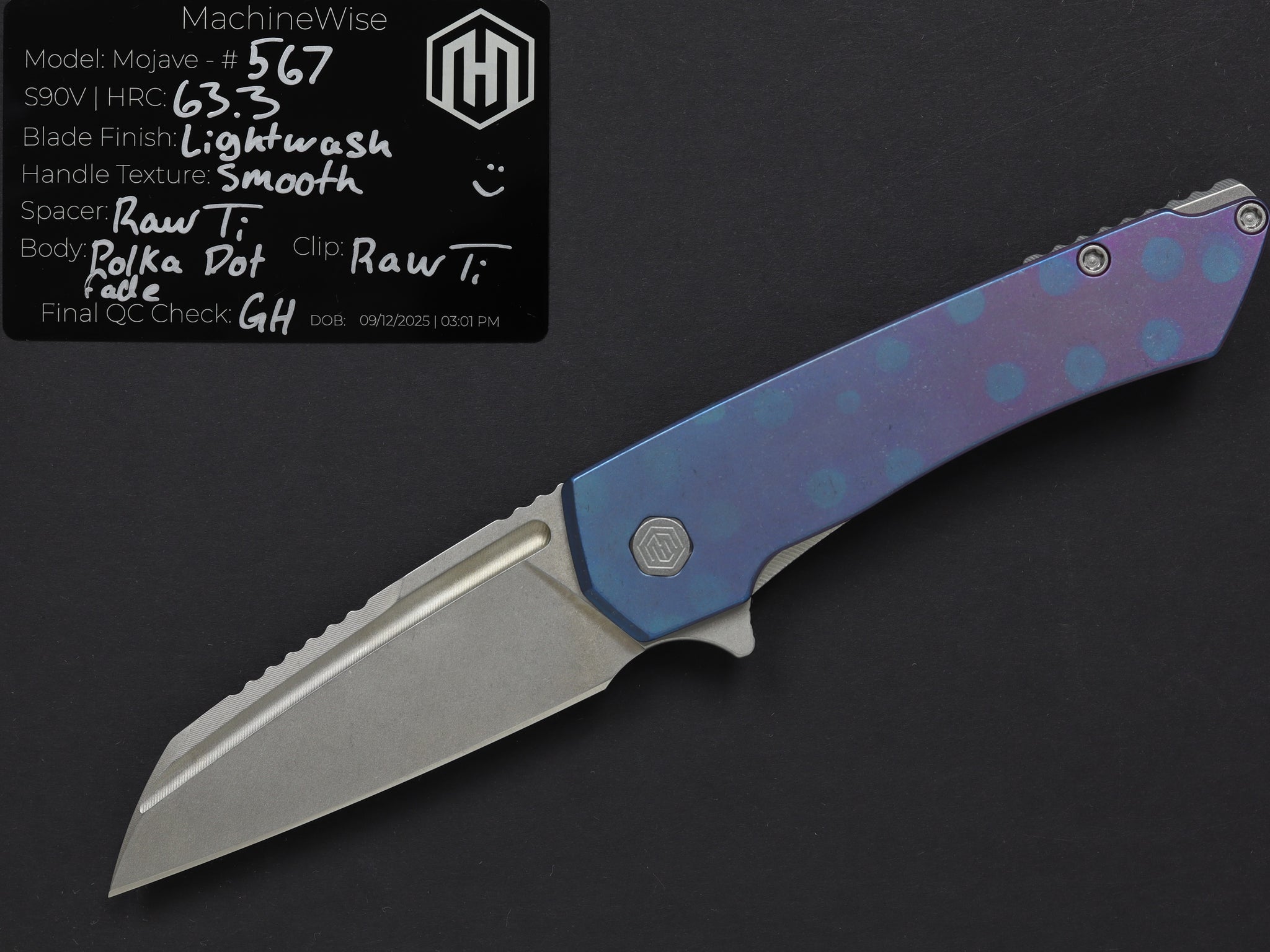Mojave 0567